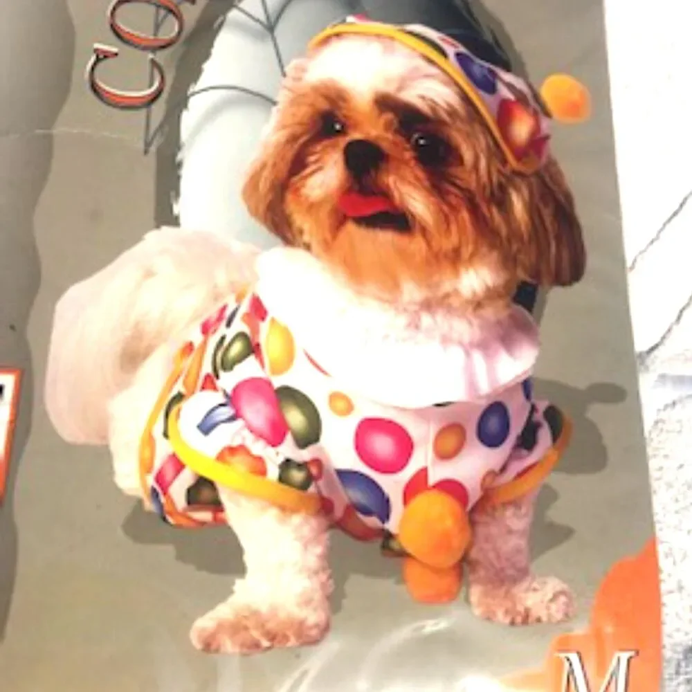 Casual Canine ** doggie